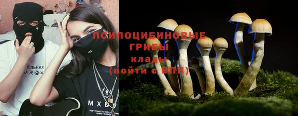прущие грибы Киренск