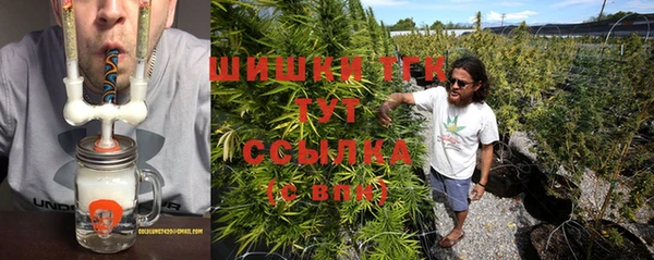 прущие грибы Киренск