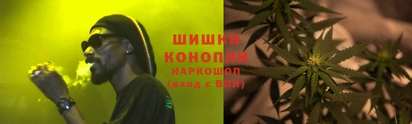 прущие грибы Киренск