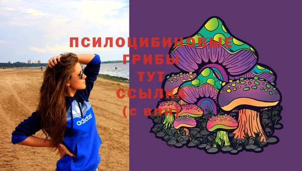 гашик Киреевск