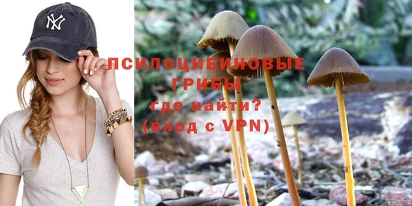 гашик Киреевск