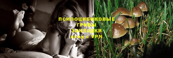 прущие грибы Киренск