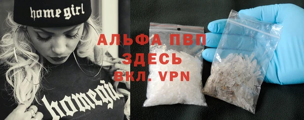 прущие грибы Киренск
