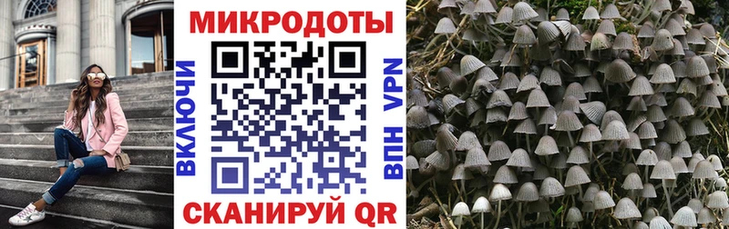 Галлюциногенные грибы Psilocybine cubensis  Купить где  Куртамыш 